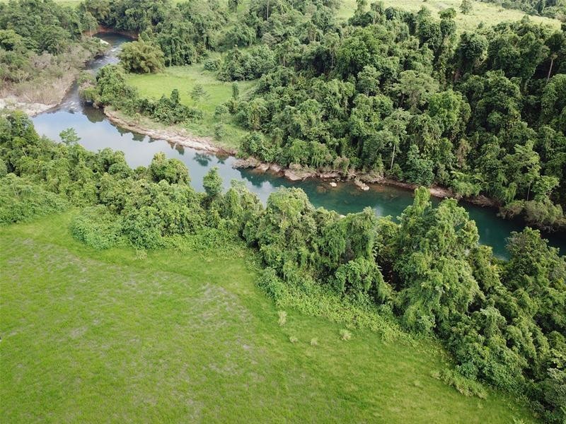 429 Briggs Road, Bartle Frere QLD 4861