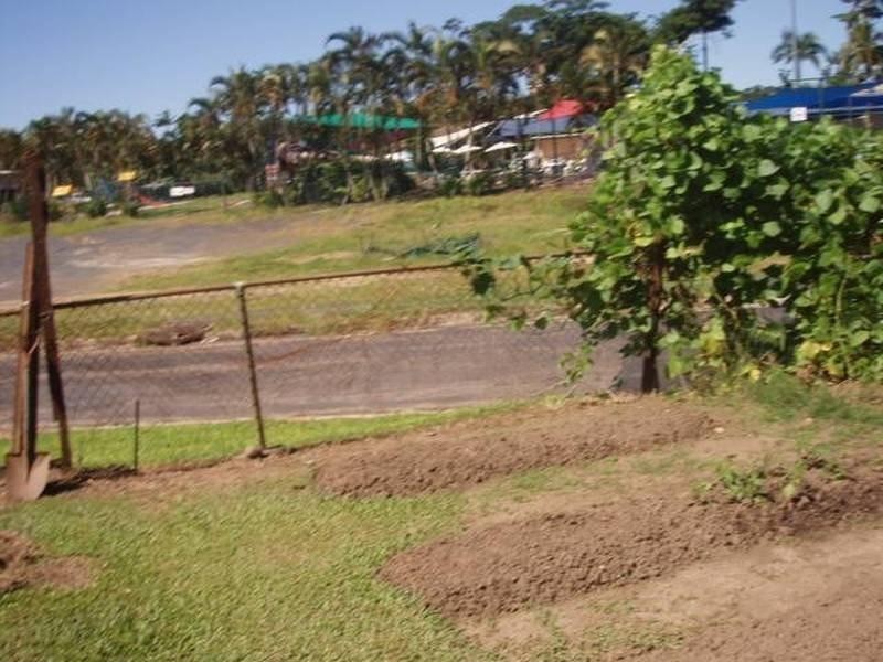 10 Lily Street, Innisfail QLD 4860