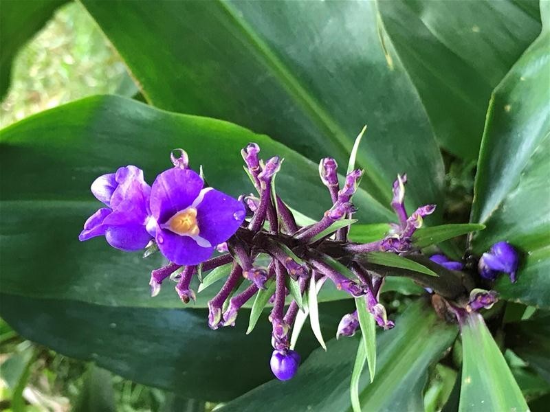 15 Turalba Road, Jubilee Heights QLD 4860