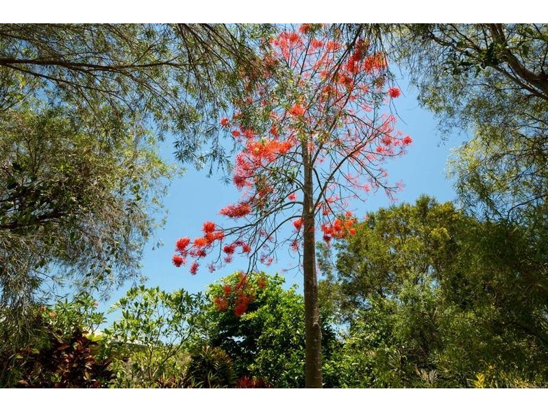 179 Etty Bay Road, Etty Bay QLD 4858