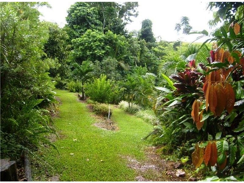 257 Utchee Creek Road Utchee Creek, QLD, 4871, Mena Creek QLD 4871