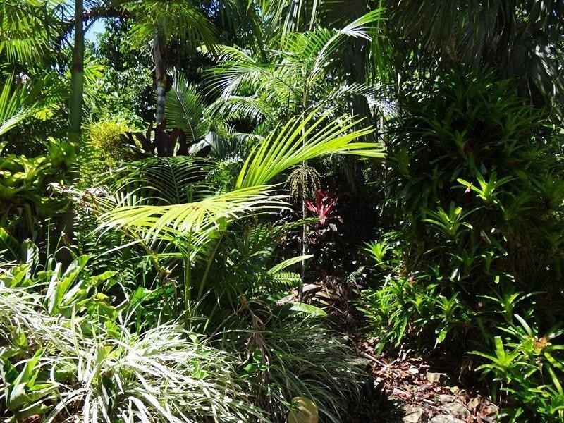 257 Utchee Creek Road Utchee Creek, QLD, 4871, Mena Creek QLD 4871