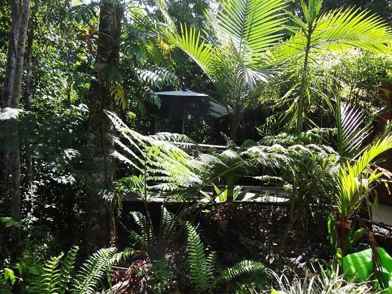 257 Utchee Creek Road Utchee Creek, QLD, 4871, Mena Creek QLD 4871