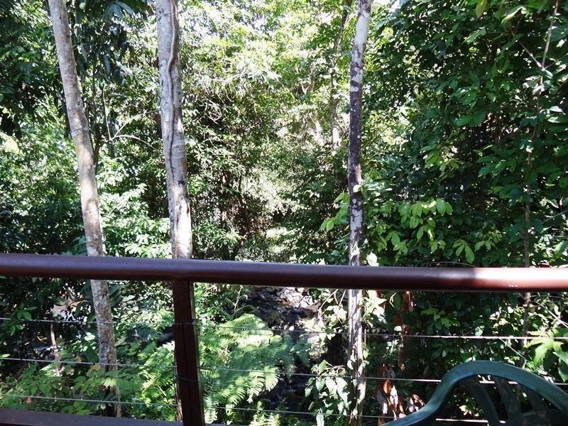 257 Utchee Creek Road Utchee Creek, QLD, 4871, Mena Creek QLD 4871