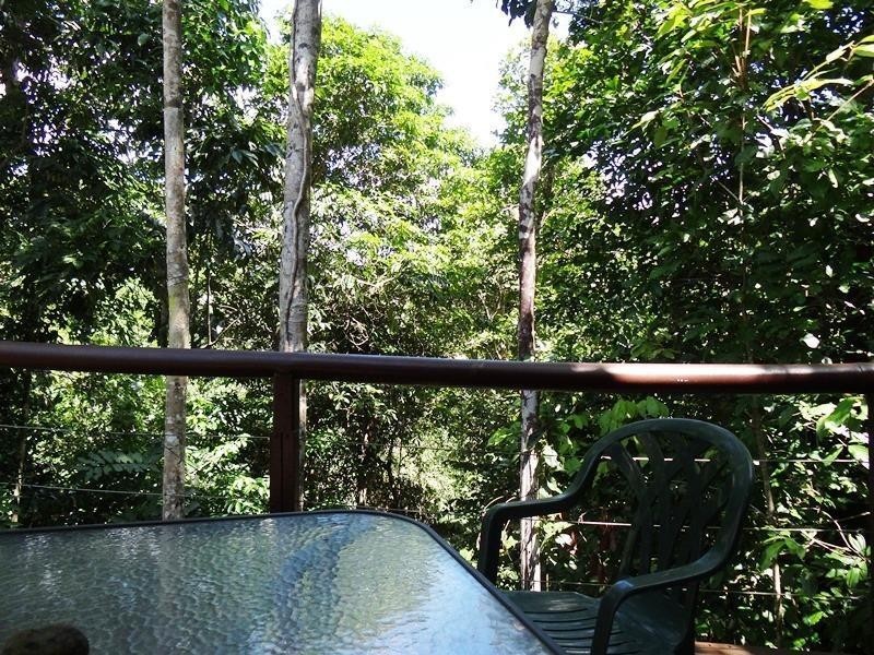 257 Utchee Creek Road Utchee Creek, QLD, 4871, Mena Creek QLD 4871