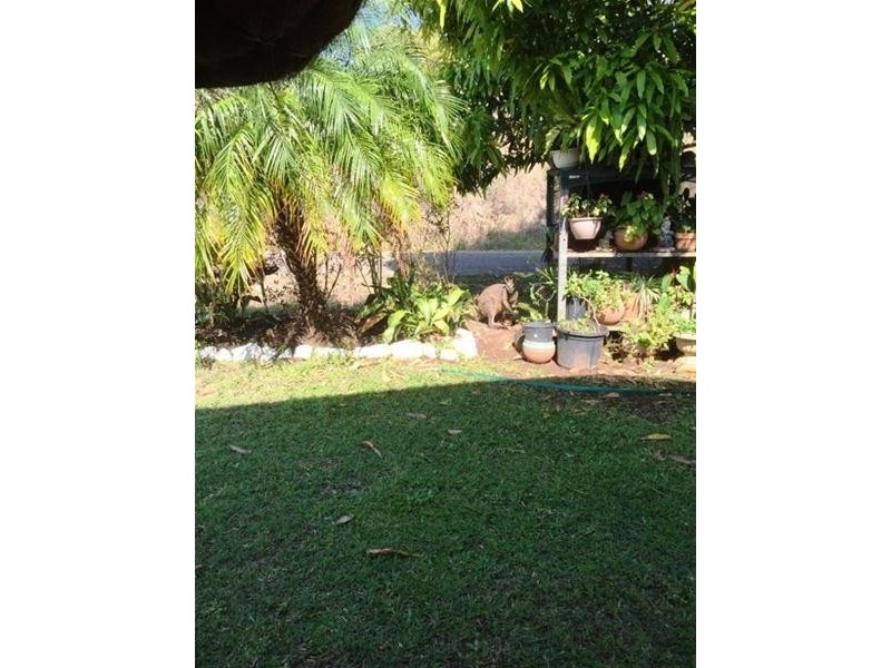 1 MONAZITE Street, Mount Garnet QLD 4872