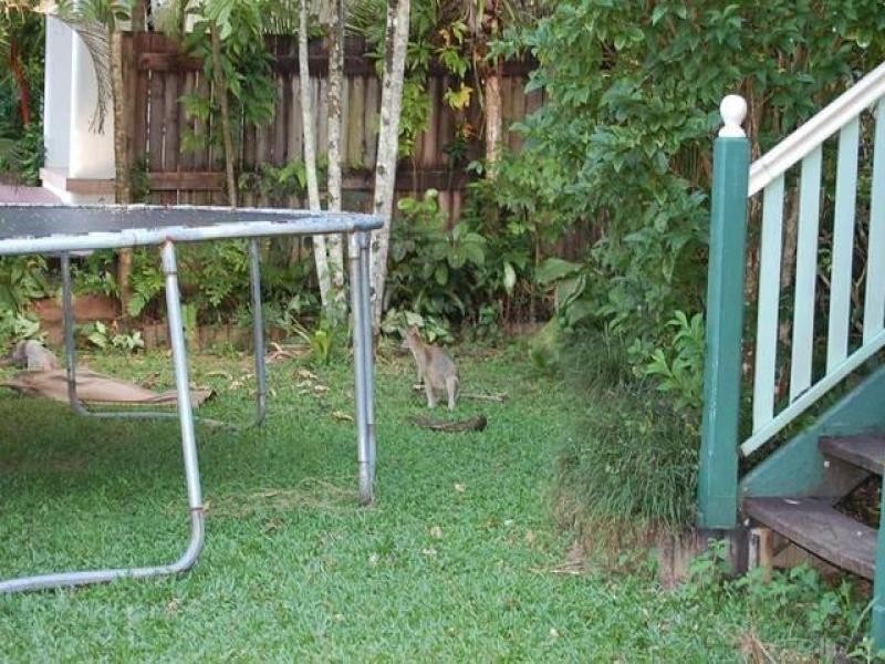 17A Enid Street, Flying Fish Point QLD 4860