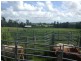 LOT/7, Mena Creek QLD 4871