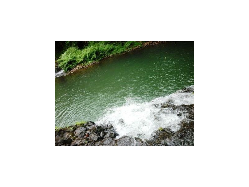 1964 Palmerston Highway East Palmerston, QLD, 4860, Palmerston QLD 4860