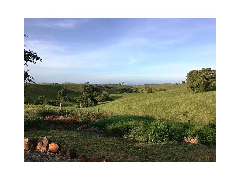 2522 PALMERSTON Highway, East Palmerston QLD 4860