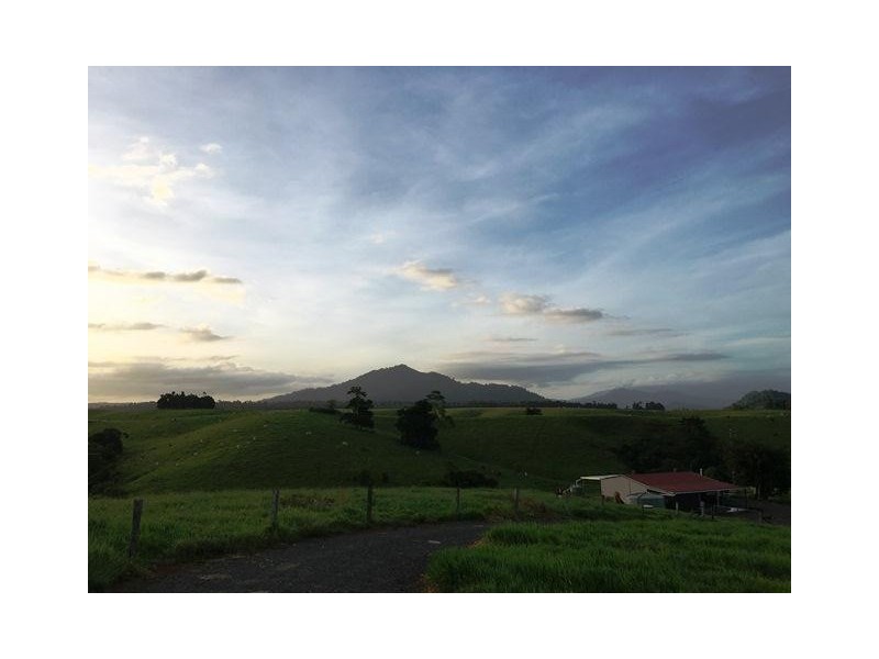 2522 PALMERSTON Highway, East Palmerston QLD 4860