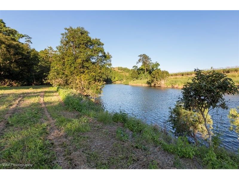 173 Astorquia  Road NO. 6 Branch, QLD 4859, Innisfail QLD 4860