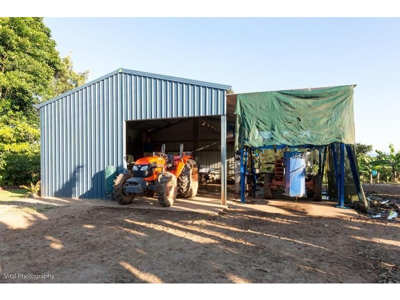 173 Astorquia  Road NO. 6 Branch, QLD 4859, Innisfail QLD 4860