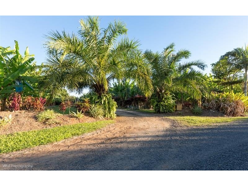 173 Astorquia  Road NO. 6 Branch, QLD 4859, Innisfail QLD 4860