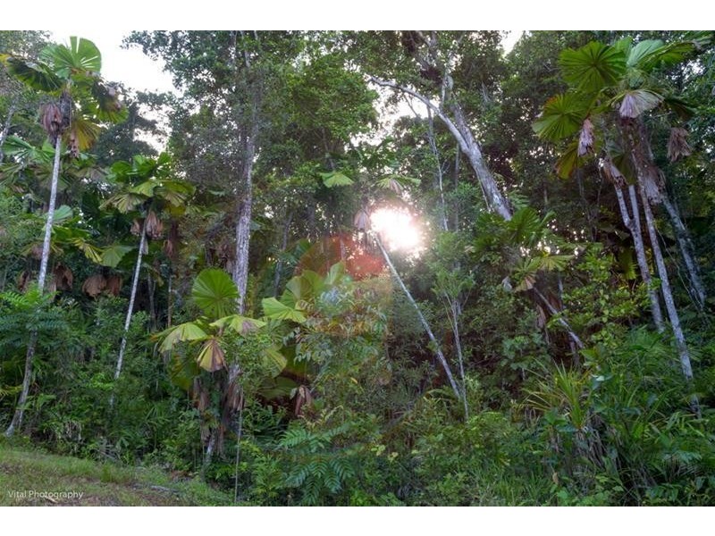 lot 63 Greendale Court Jubillee Heights, Innisfail QLD 4860