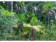 lot 63 Greendale Court Jubillee Heights, Innisfail QLD 4860