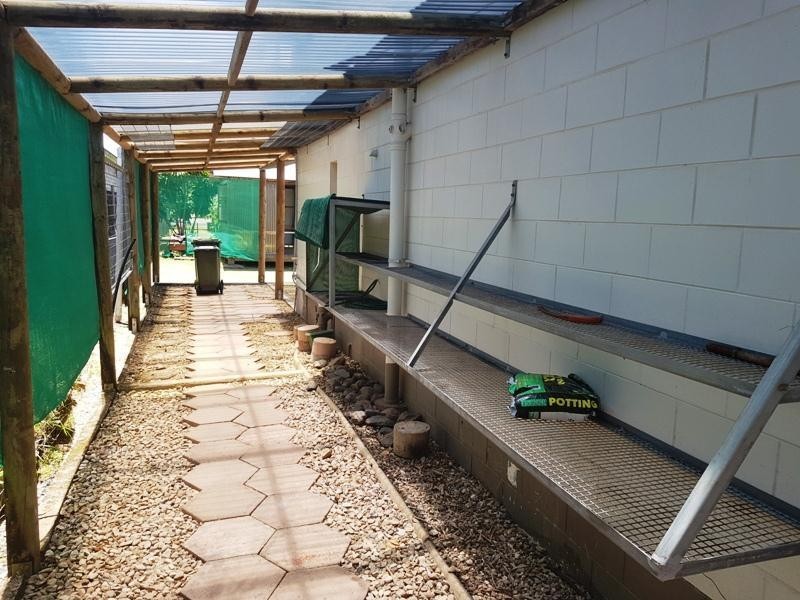 54 GLADY Street, Innisfail QLD 4860