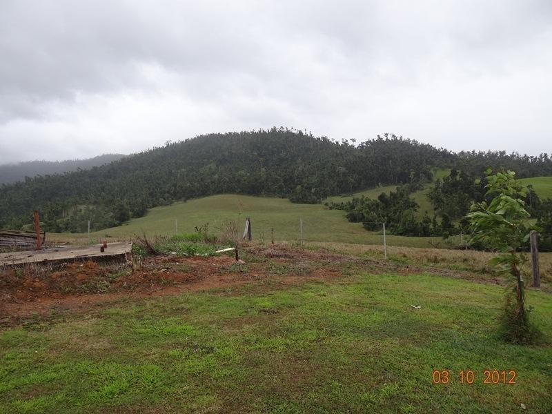 146 Walter Lever Road, Silkwood QLD 4856