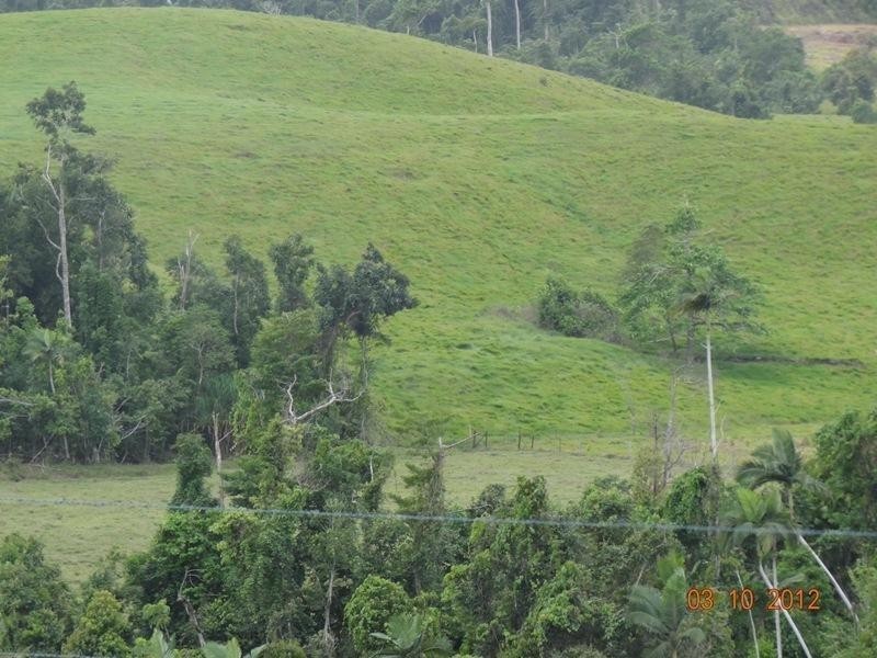 146 Walter Lever Road, Silkwood QLD 4856