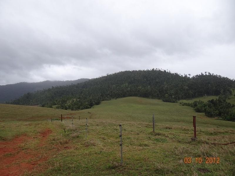 146 Walter Lever Road, Silkwood QLD 4856