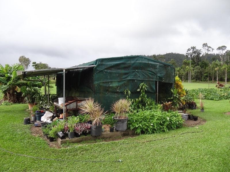 708 EAST FELUGA Road, East Feluga QLD 4854