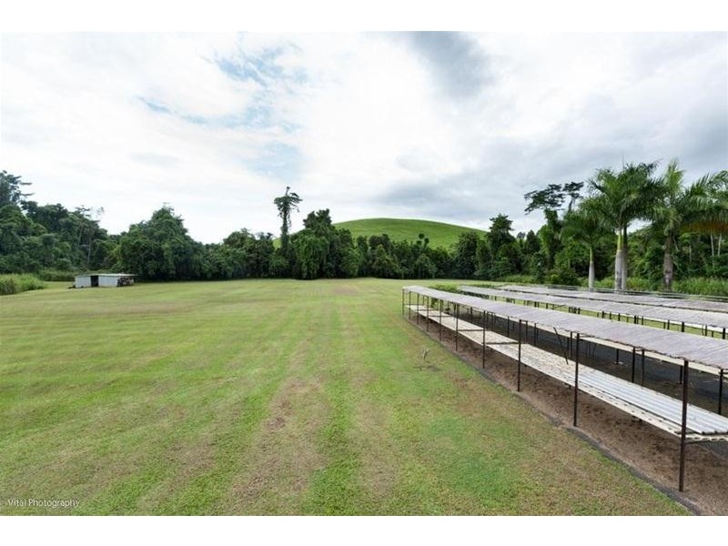 293  Utchee Creek, Mena Creek QLD 4871