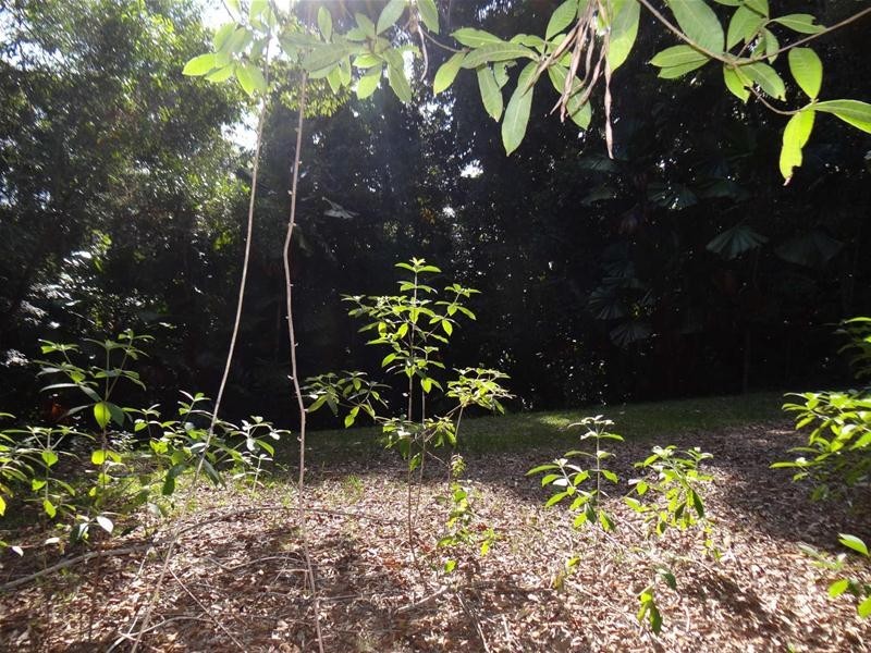 LOT 28 WATERFALL Place, Jubilee Heights QLD 4860