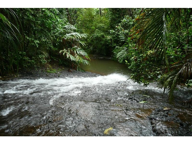 389 CAMP CREEK Road, Camp Creek QLD 4871