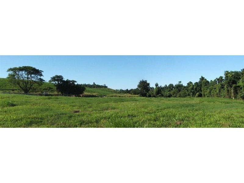 389 CAMP CREEK Road, Camp Creek QLD 4871