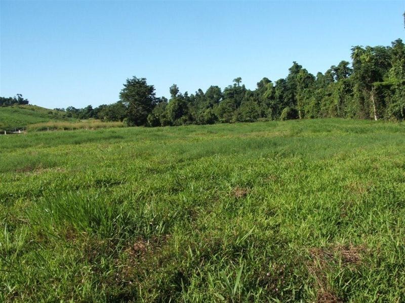 389 CAMP CREEK Road, Camp Creek QLD 4871