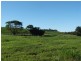 389 CAMP CREEK Road, Camp Creek QLD 4871