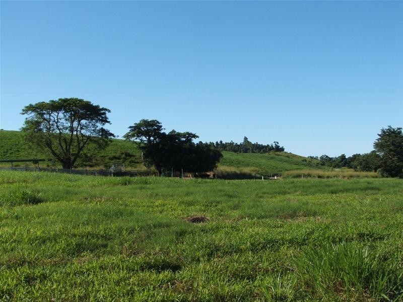 389 CAMP CREEK Road, Camp Creek QLD 4871