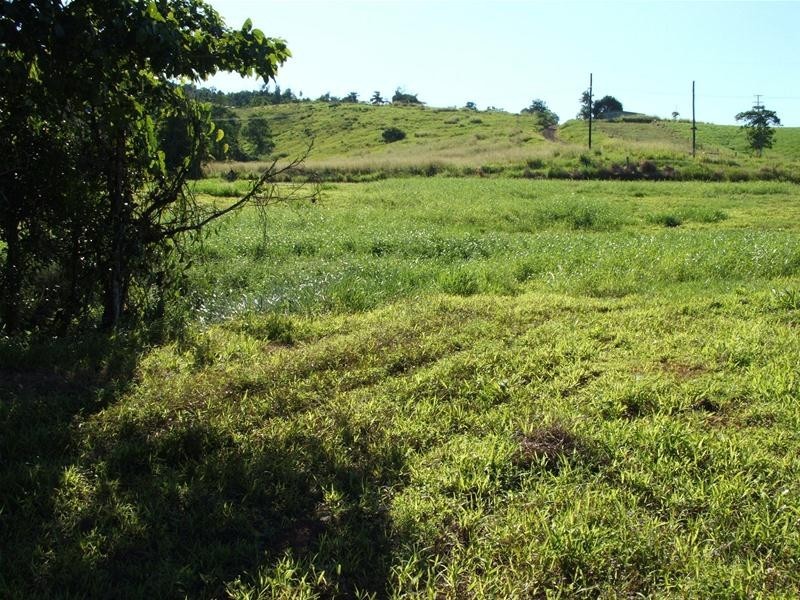 389 CAMP CREEK Road, Camp Creek QLD 4871