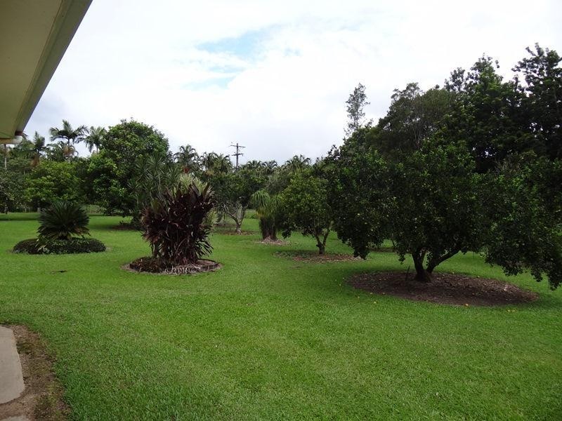 708 EAST FELUGA Road, East Feluga QLD 4854