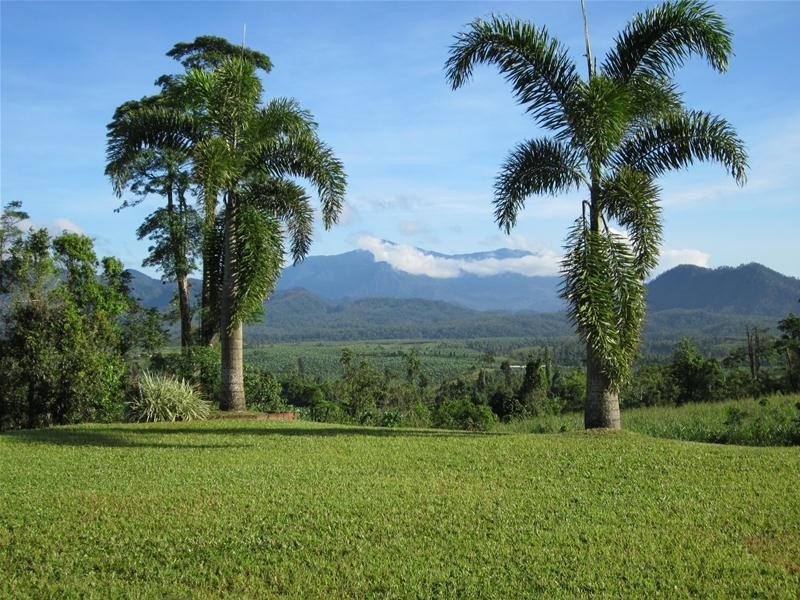 571 Dunne Road, Nerada QLD 4860