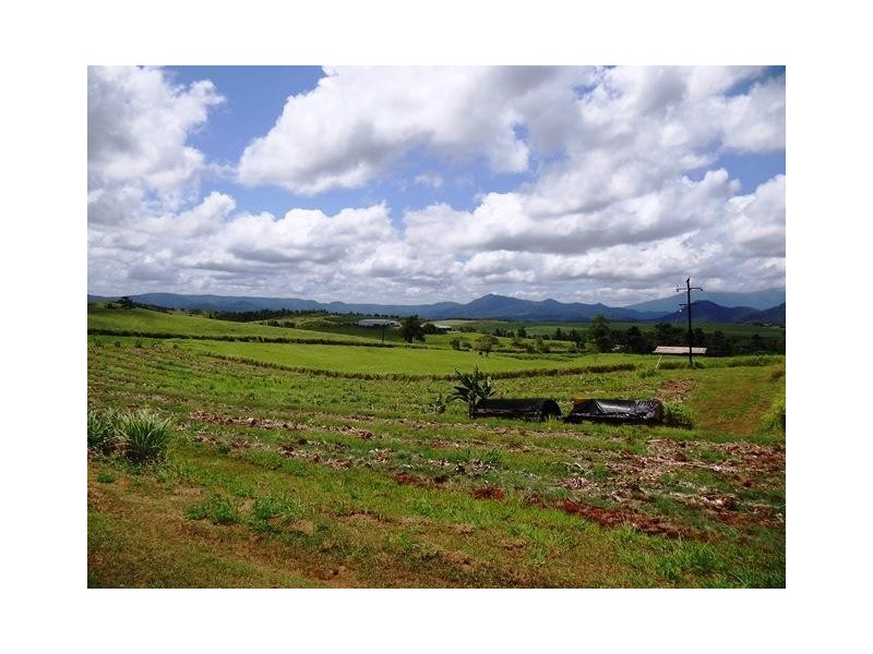 17 Spry Road Nerada, QLD, 4860, Nerada QLD 4860