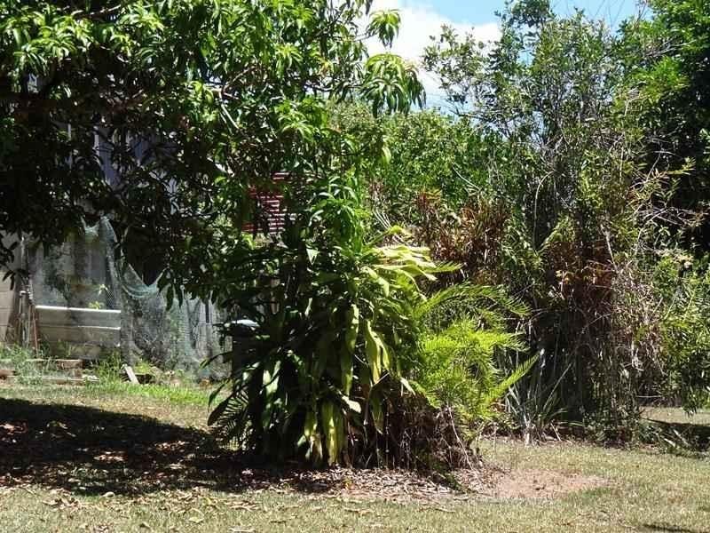3 Mena Creek Road Creek, QLD Road, Mena Creek QLD 4871