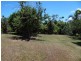 3 Mena Creek Road Creek, QLD Road, Mena Creek QLD 4871