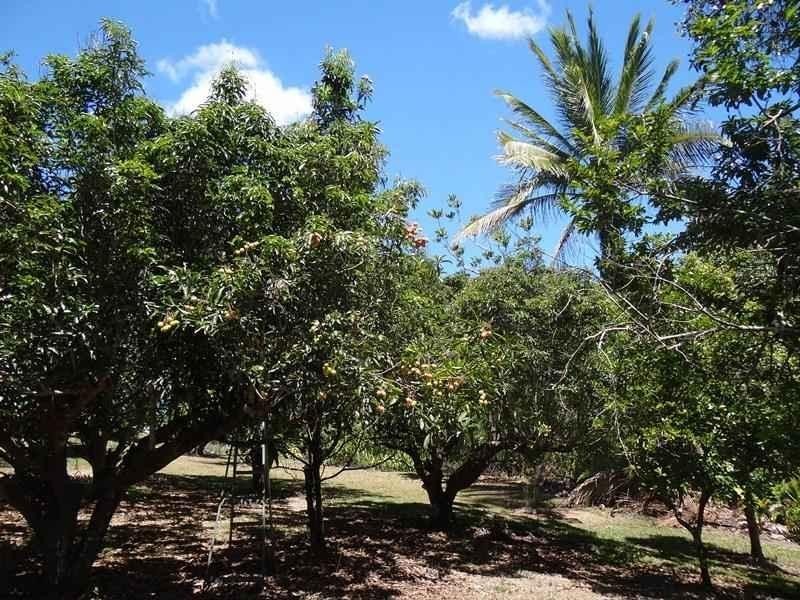 3 Mena Creek Road Creek, QLD Road, Mena Creek QLD 4871
