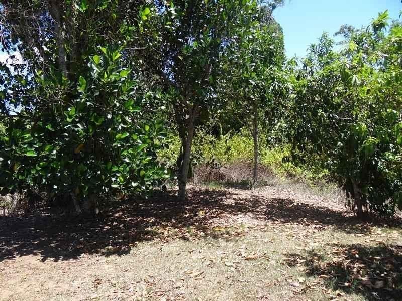 3 Mena Creek Road Creek, QLD Road, Mena Creek QLD 4871