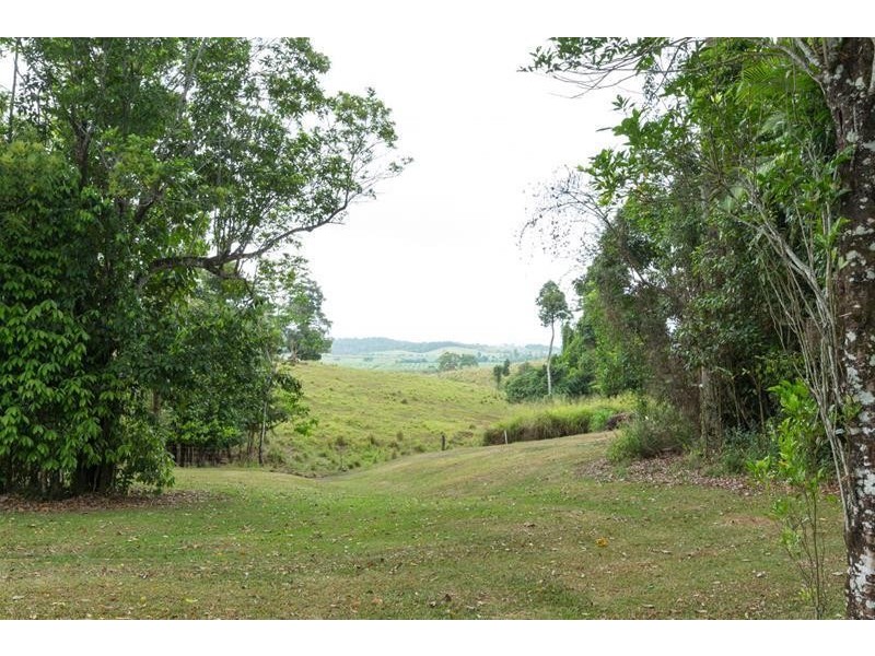 394 Palmerston Highway, Stoters Hill QLD 4860