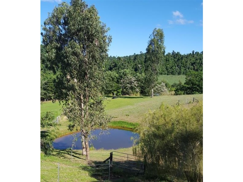 329 Number Four Branch Road, South Johnstone QLD 4859