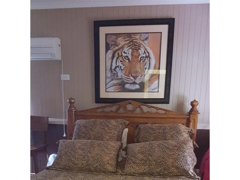 329 Number Four Branch Road, South Johnstone QLD 4859