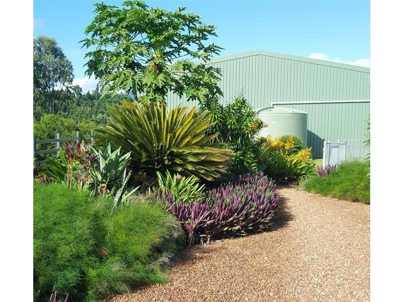 329 Number Four Branch Road, South Johnstone QLD 4859