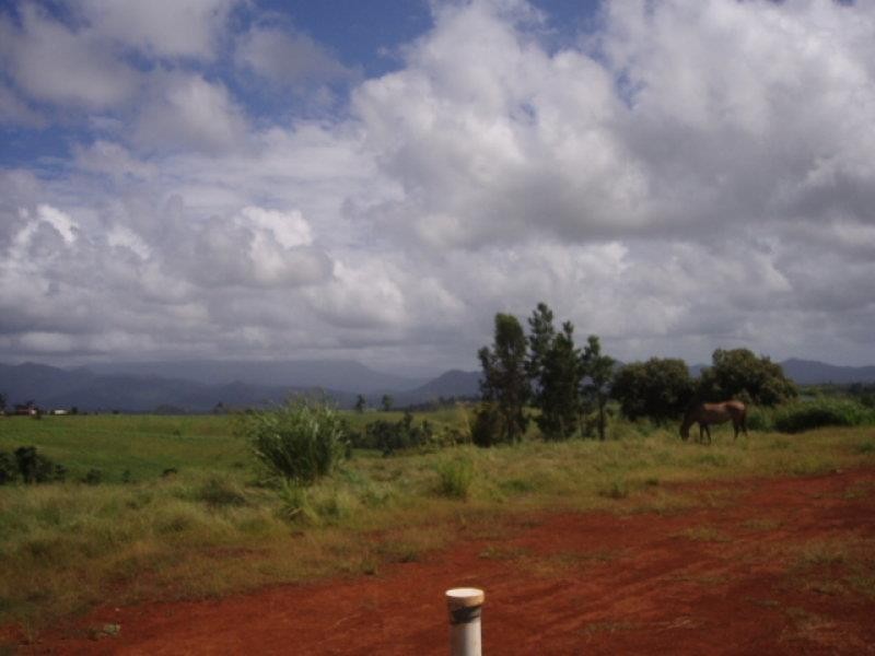 YP/2008 Palmerston Highway, Innisfail Estate QLD 4860