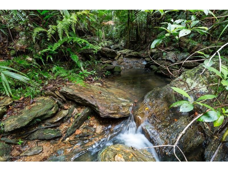 61 Waterfall Place, Jubilee Heights QLD 4860