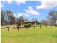 102  Mereweather Lane, Gloucester NSW 2422