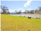 Lot 114 Phascogale Crescent, Barrington NSW 2422