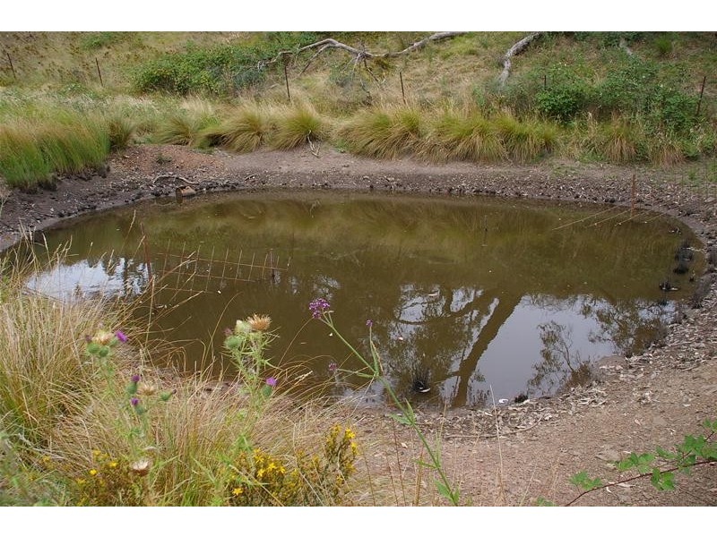 155 Blue Mantle Road, Wyangala NSW 2808