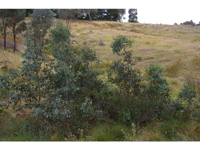 155 Blue Mantle Road, Wyangala NSW 2808